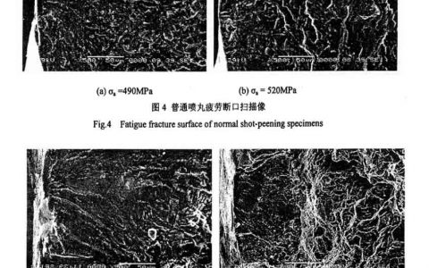 高能噴丸表面納米化對工業純鈦疲勞性能的影響